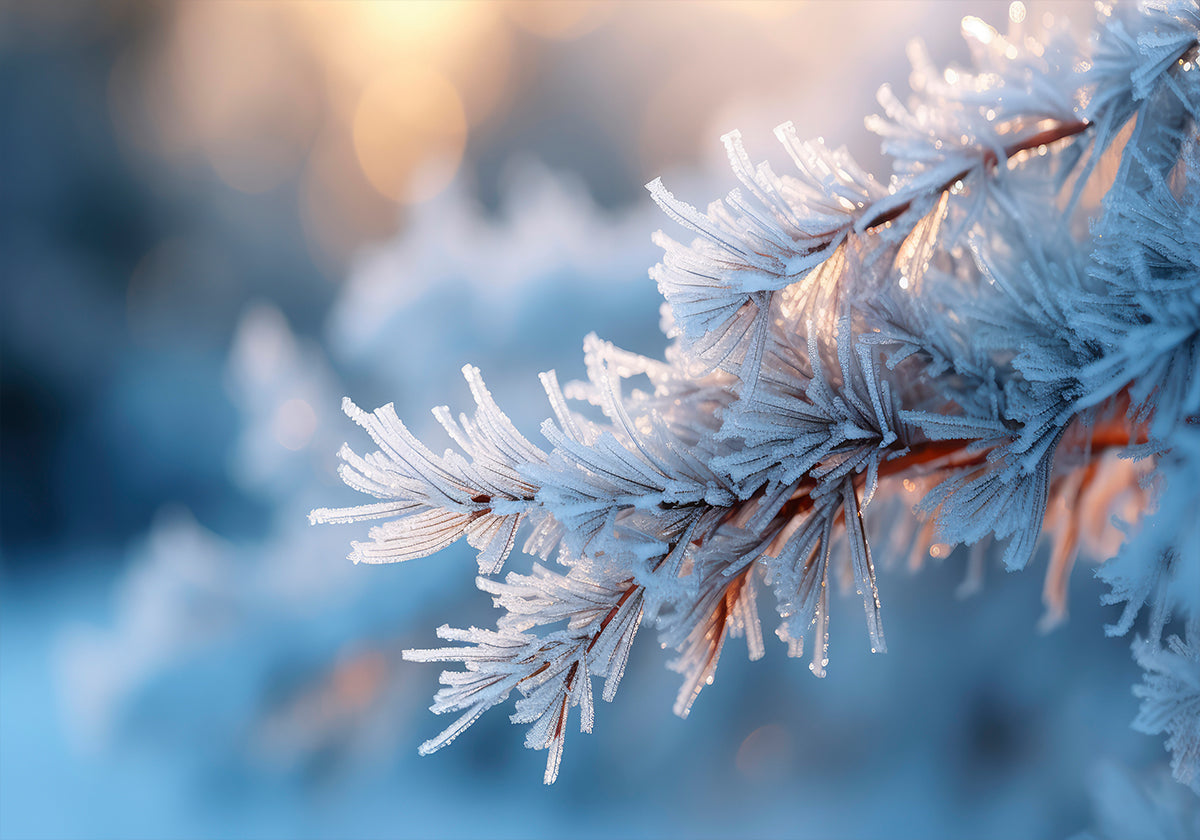 Serenidad helada Póster