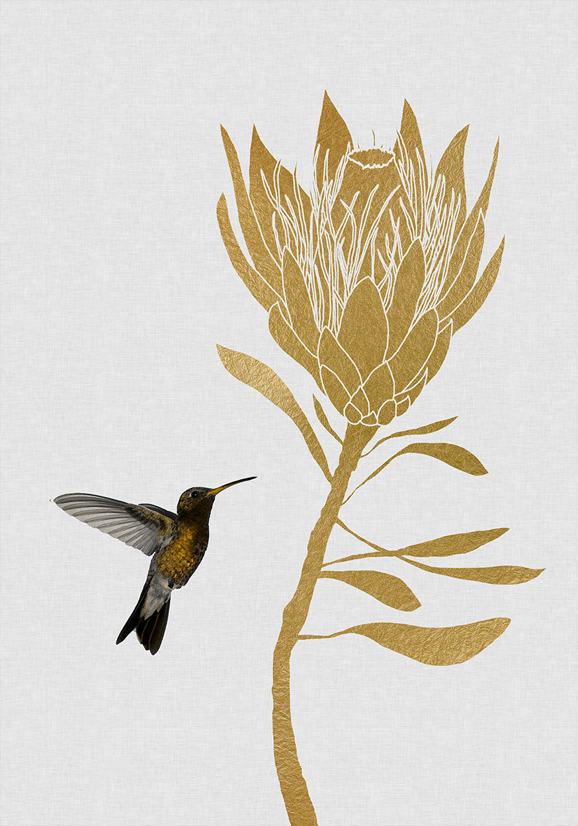 Colibrí y flor en Póster