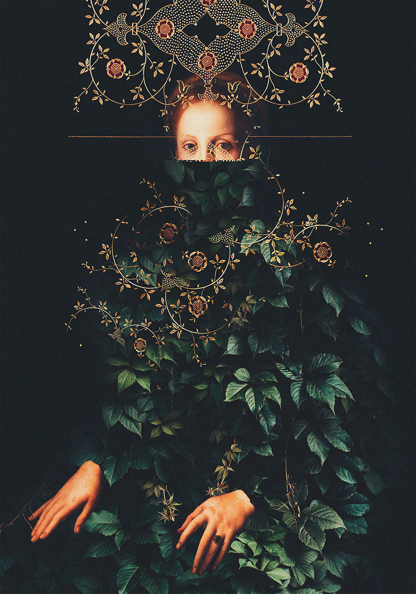 Paciencia II de Frank Moth