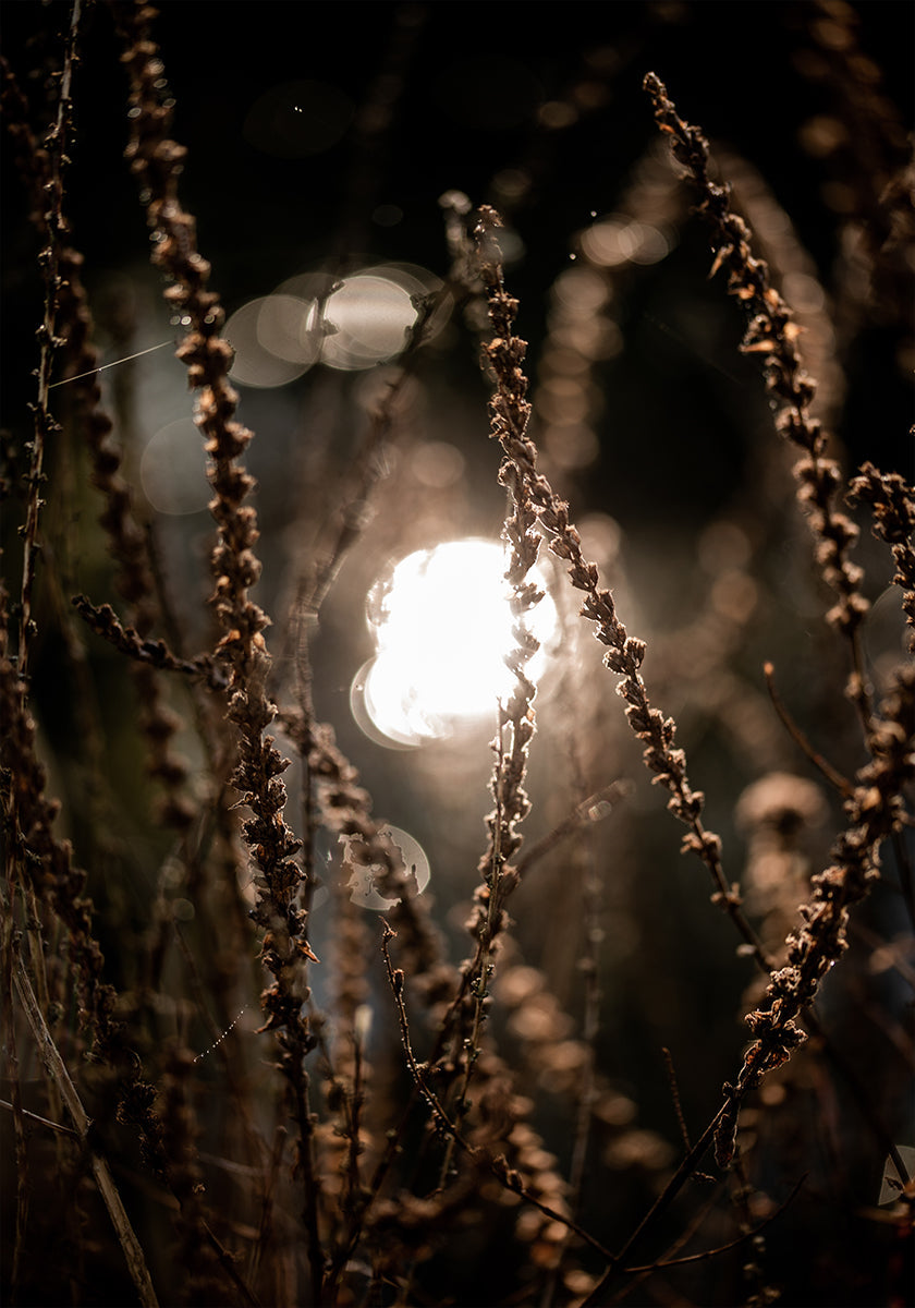 Luces de otoño 2