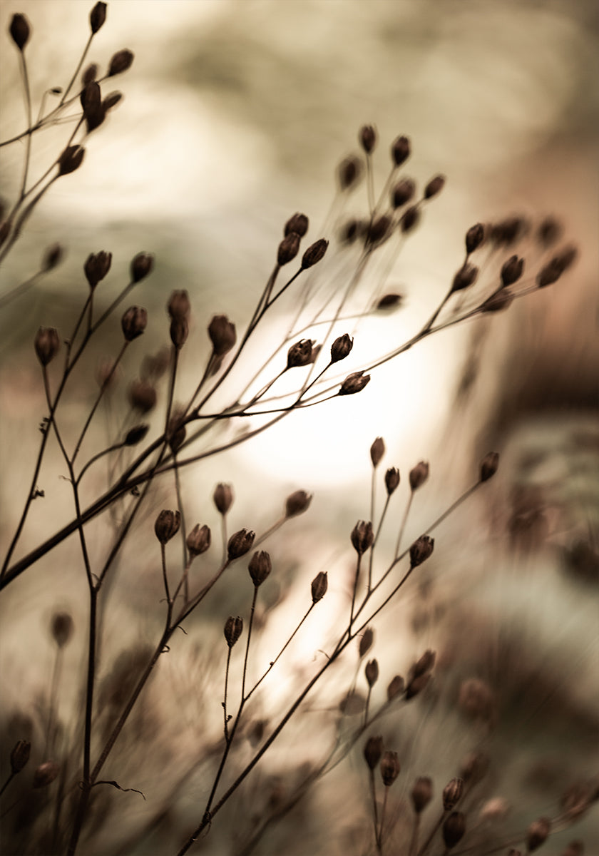 Luces de otoño
