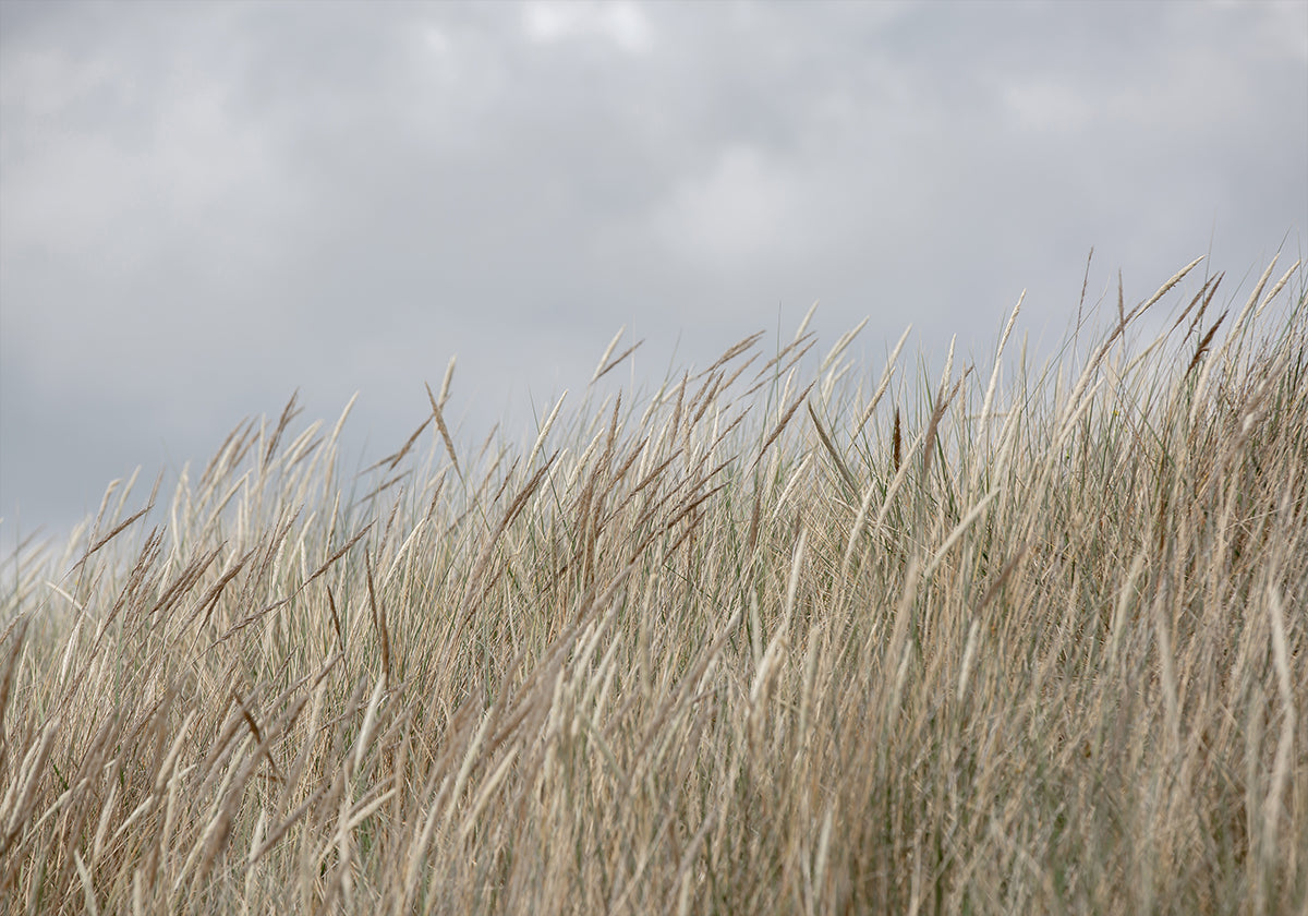 Dunas y nubes