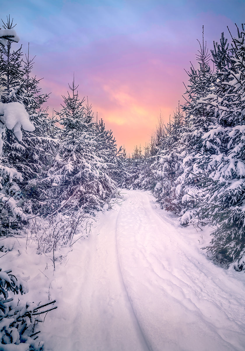 Sensación navideña Póster