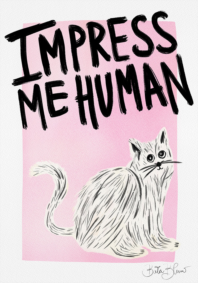 Dueño del gato - Impresioname humano Póster