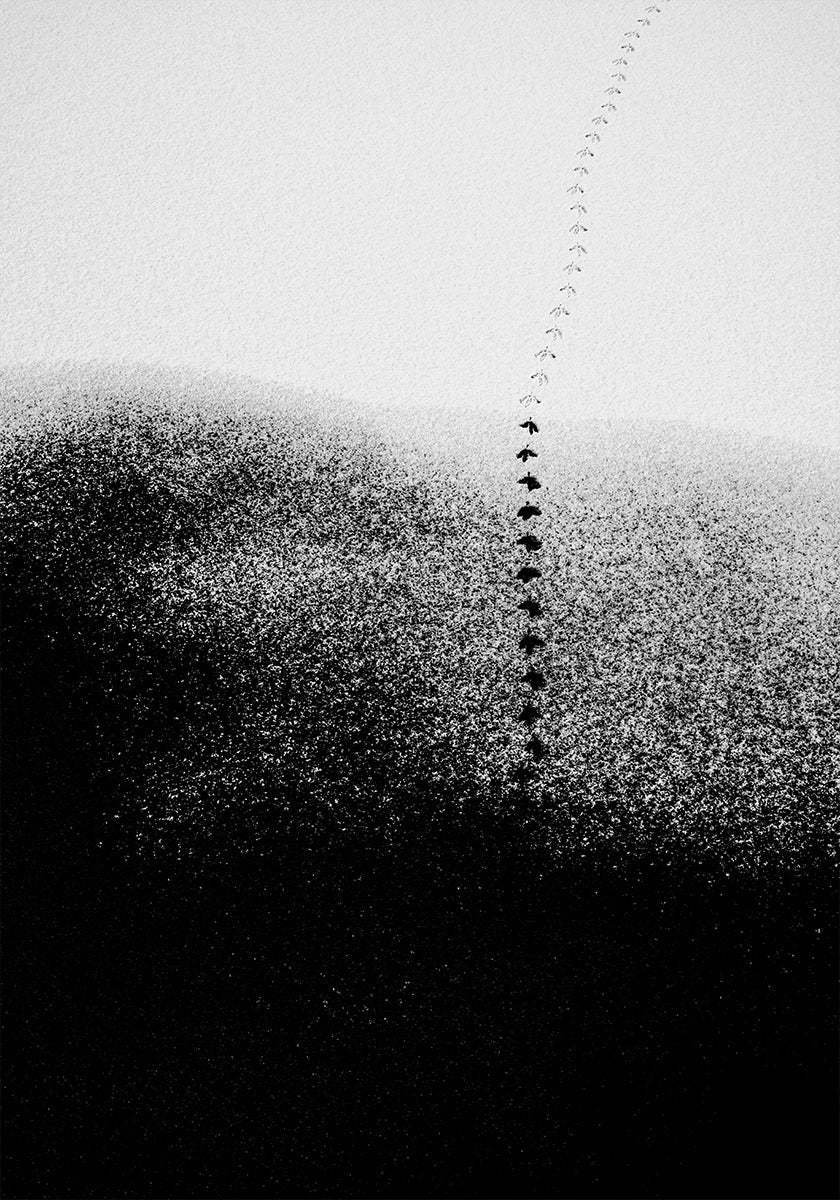 Pasos en la nieve Póster