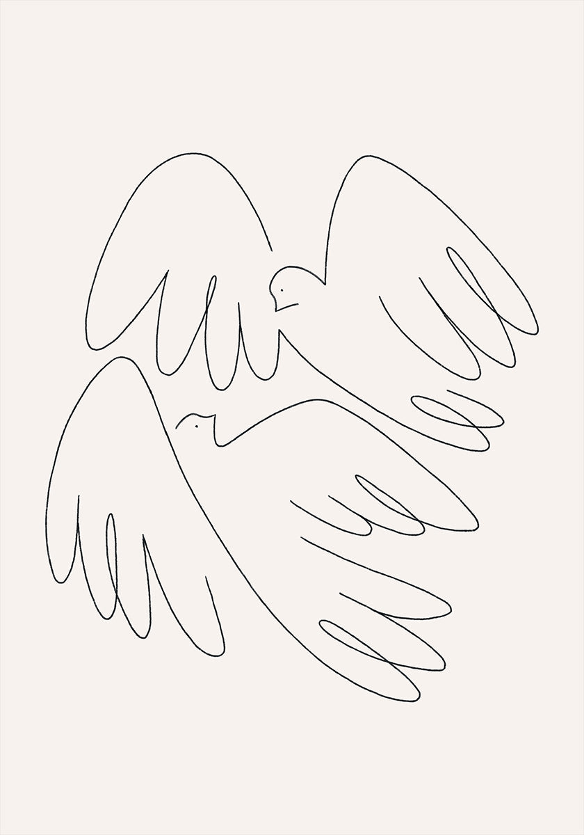 pájaros del amor