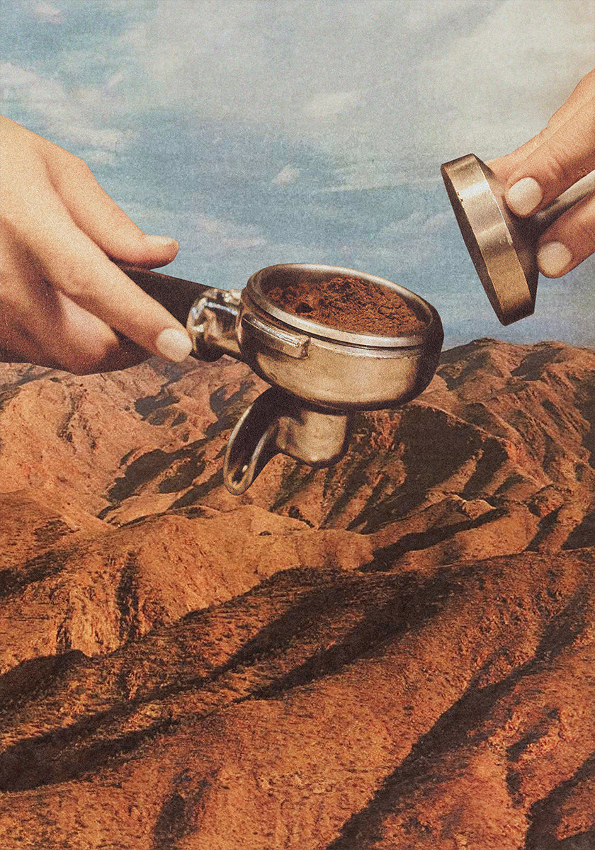 Condado de Barista Coffee Póster