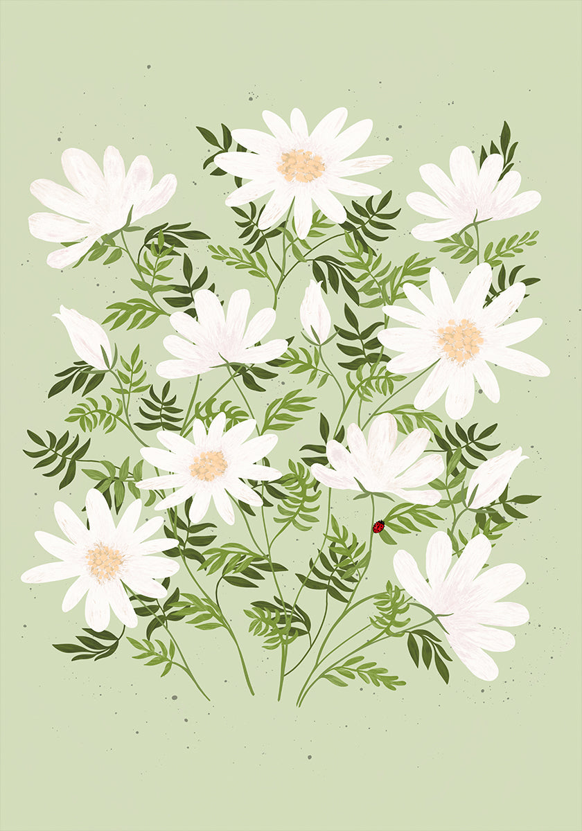 Flores de mariquita