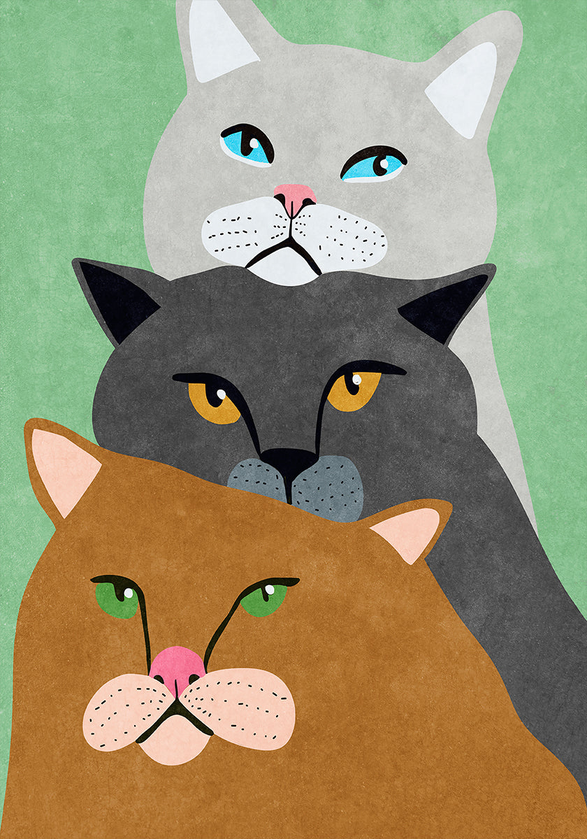 Trío de gatos Póster