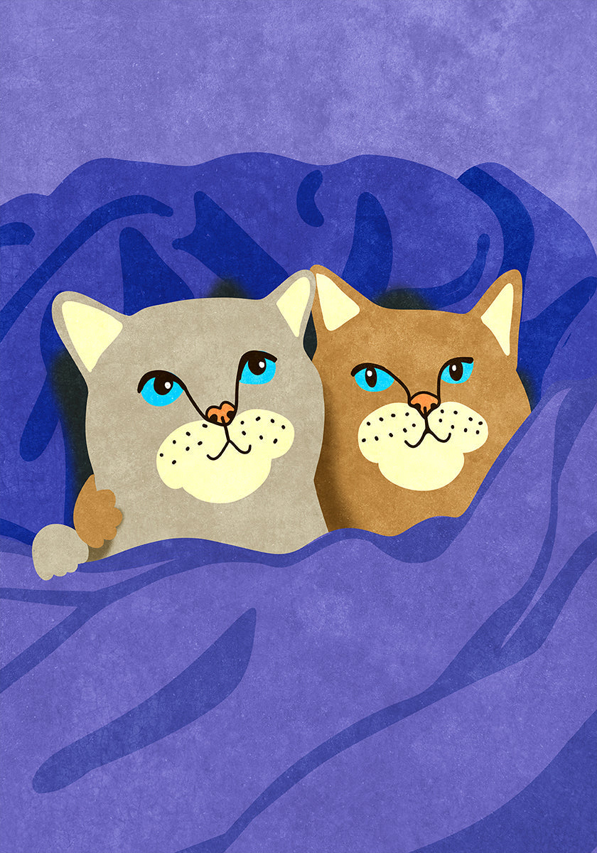 gatos en la cama