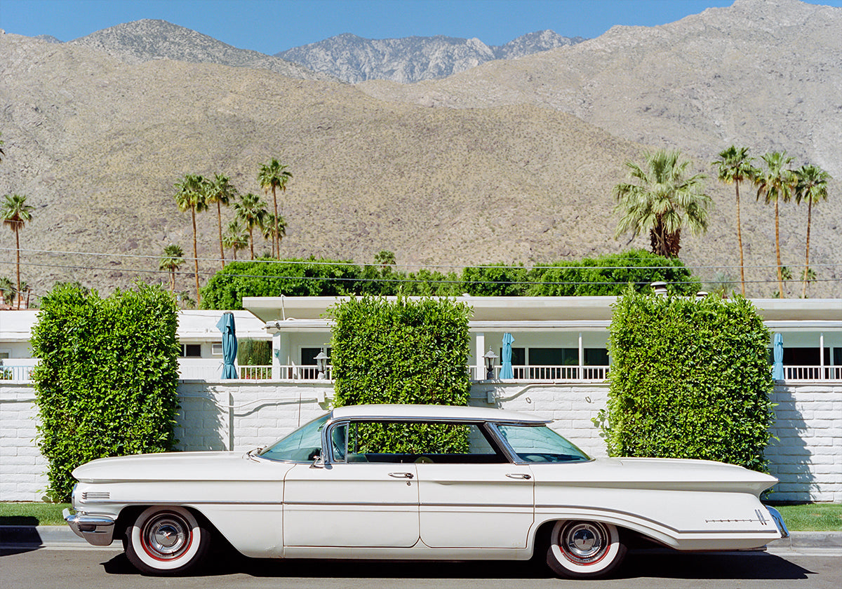 Paseo en Palm Springs