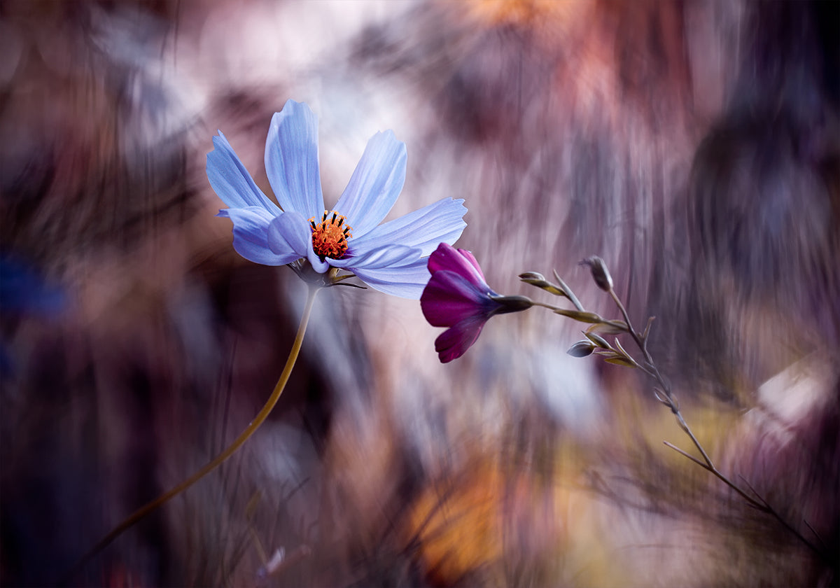 El encuentro contigo