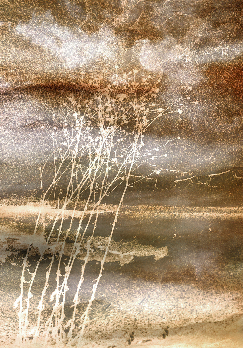 Sueños secos Póster