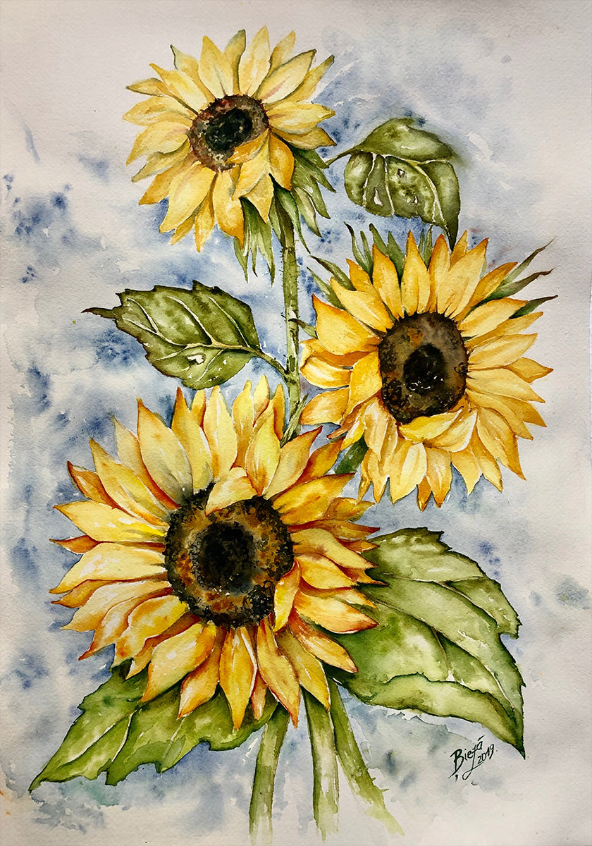 Girasoles
