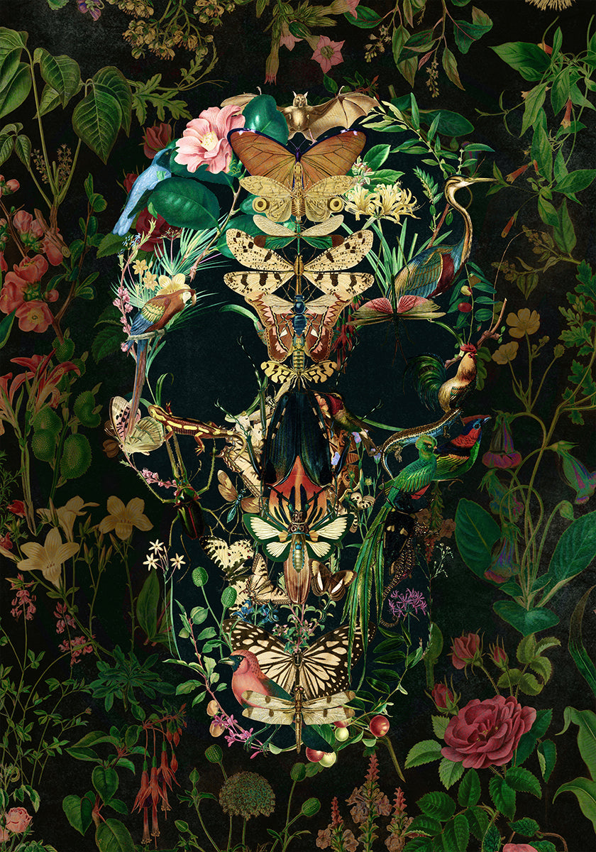 Cráneo de Papillon Póster