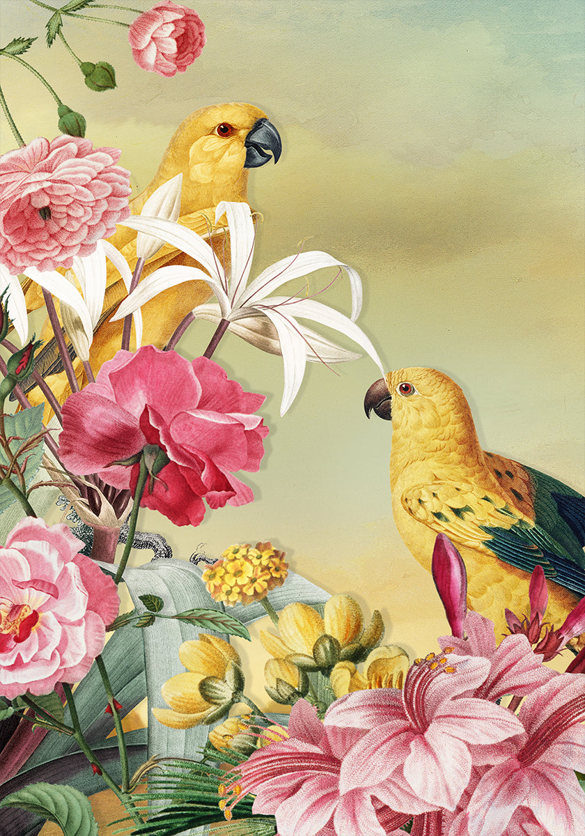 Birds From Paradise (NEW) - Posterbox