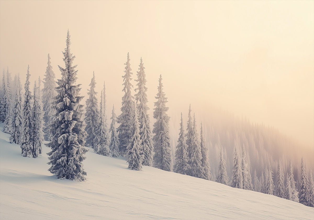 Póster Paisaje de invierno con pinos nevados