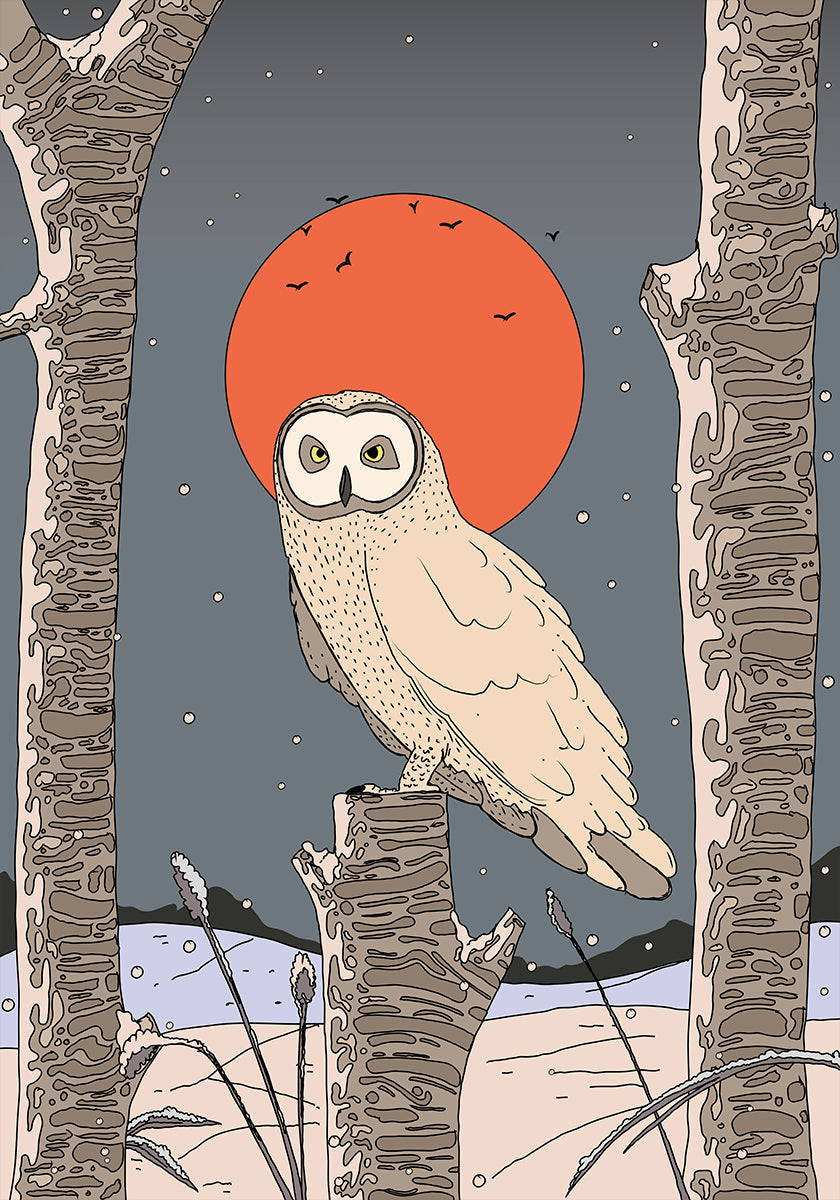 Búho vintage Póster