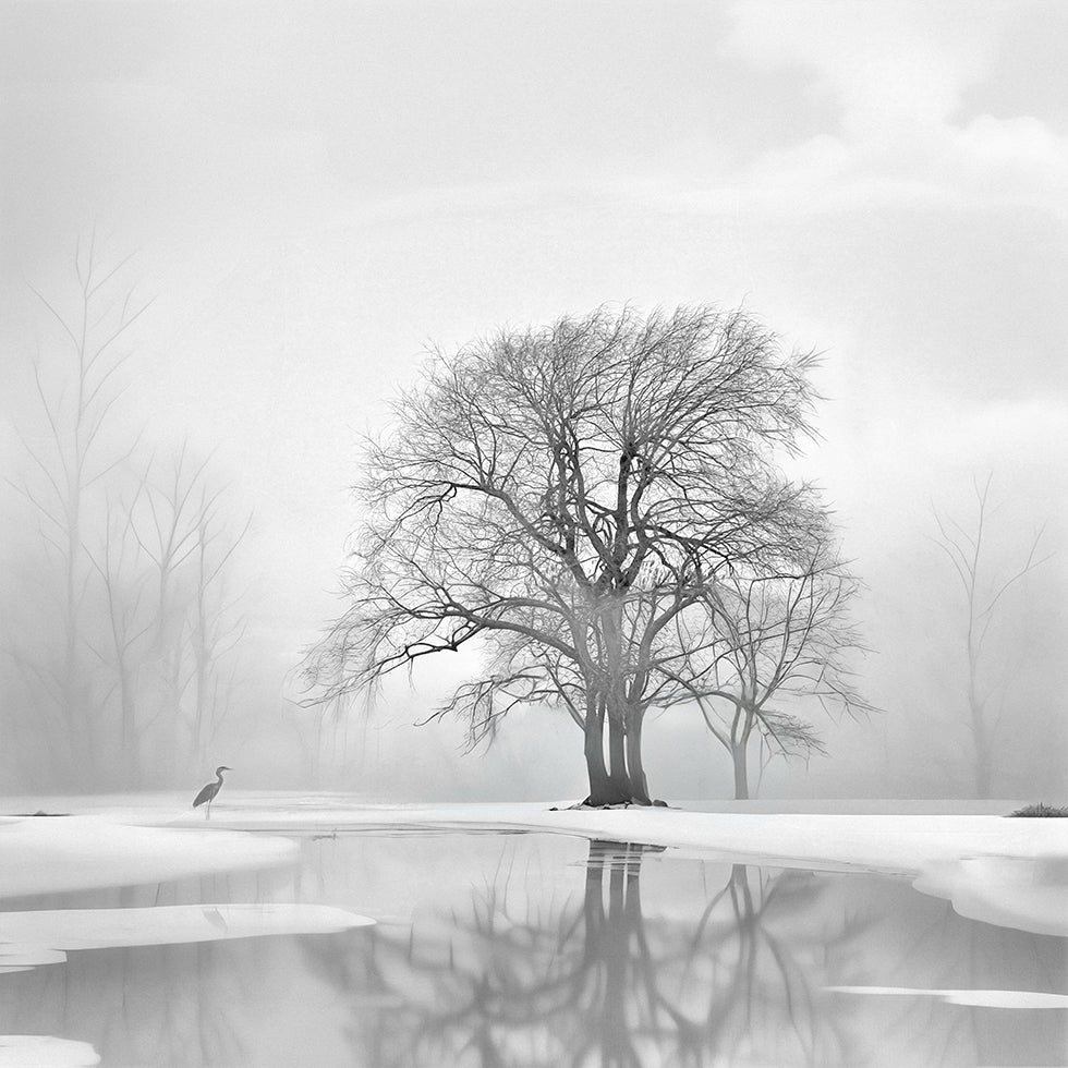 Tranquility after the snow Plakater