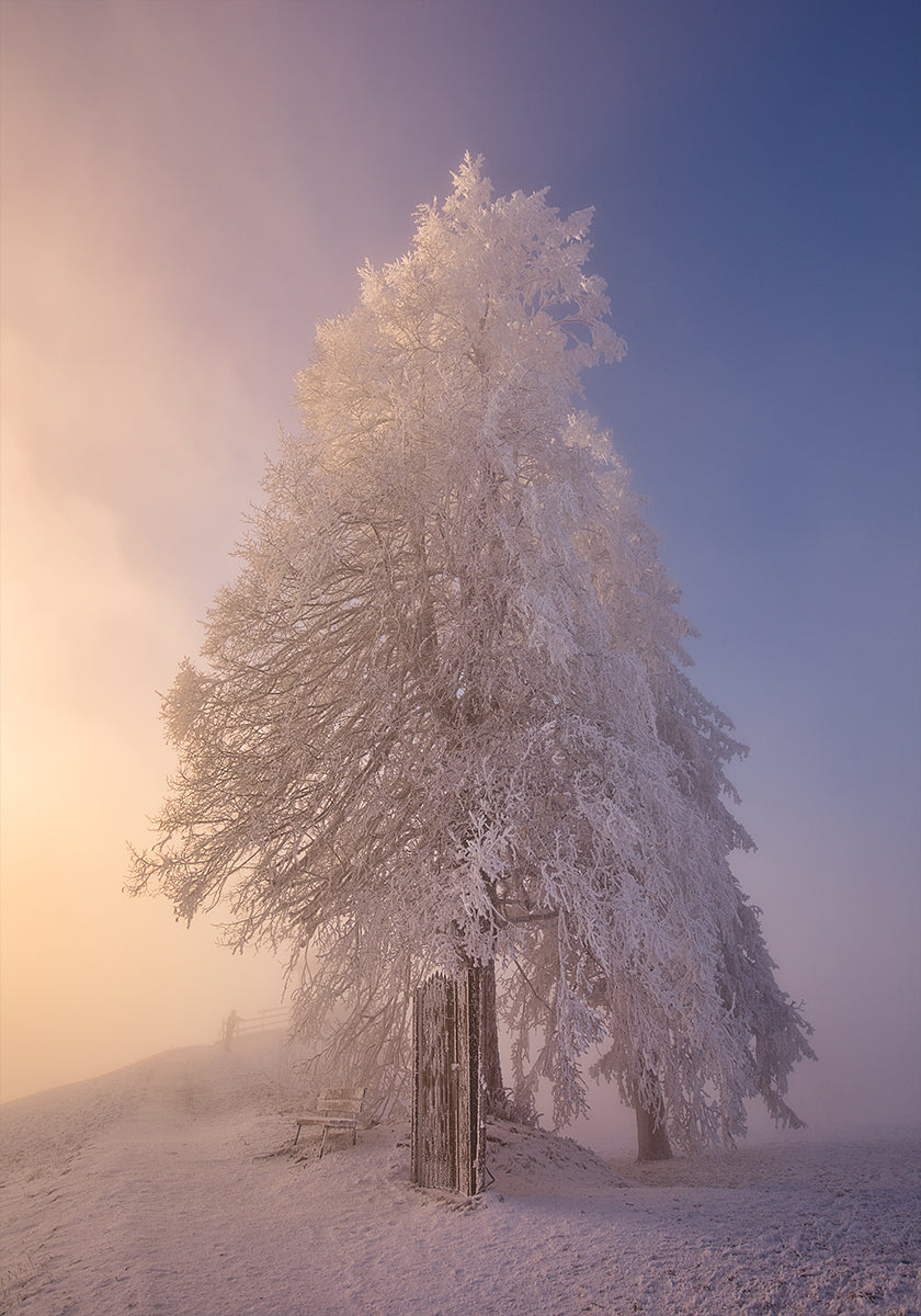 poesía de invierno a la luz de la mañana Póster