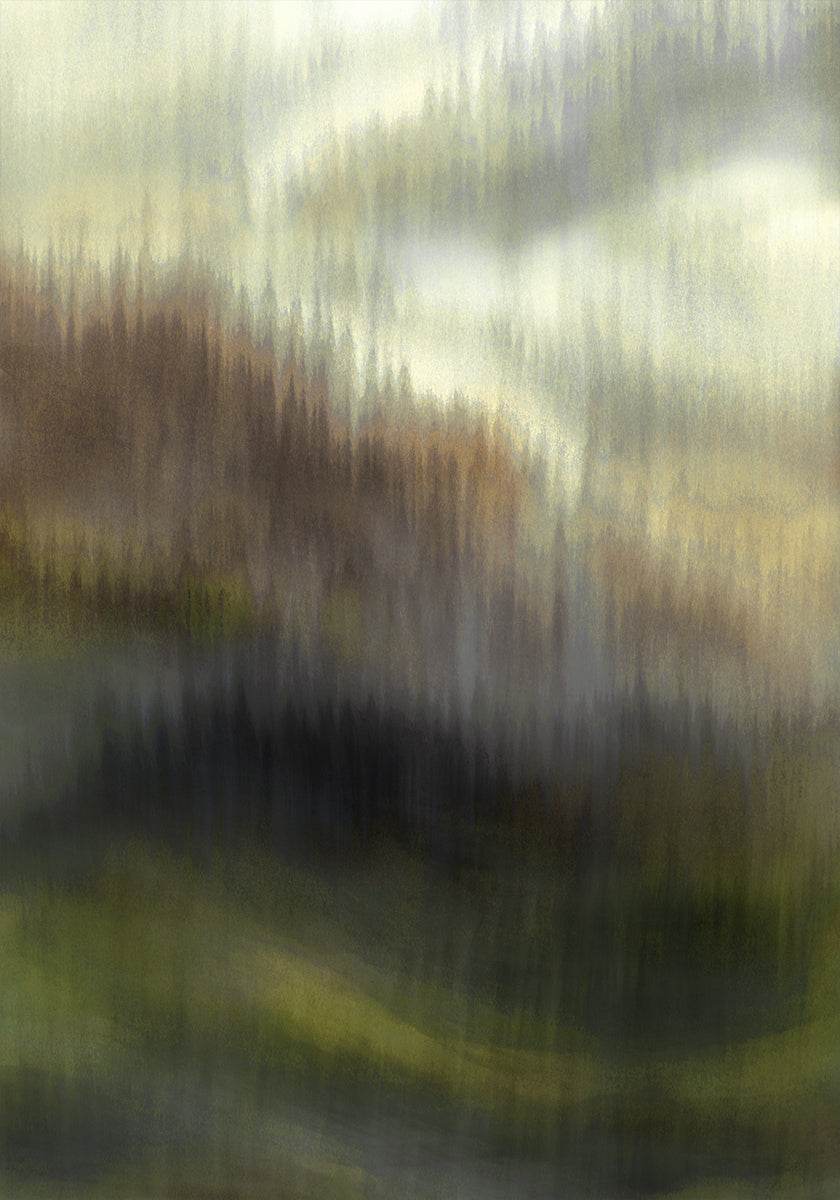 Velo del bosque brumoso