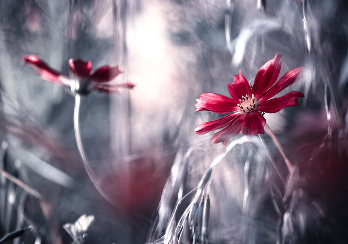 Juegos de seducción