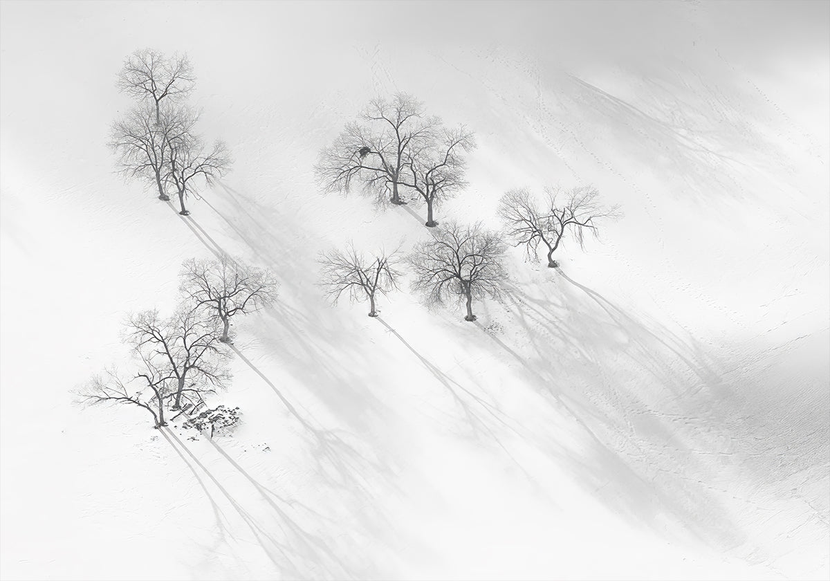 Sueño de invierno: un ballet quieto Póster