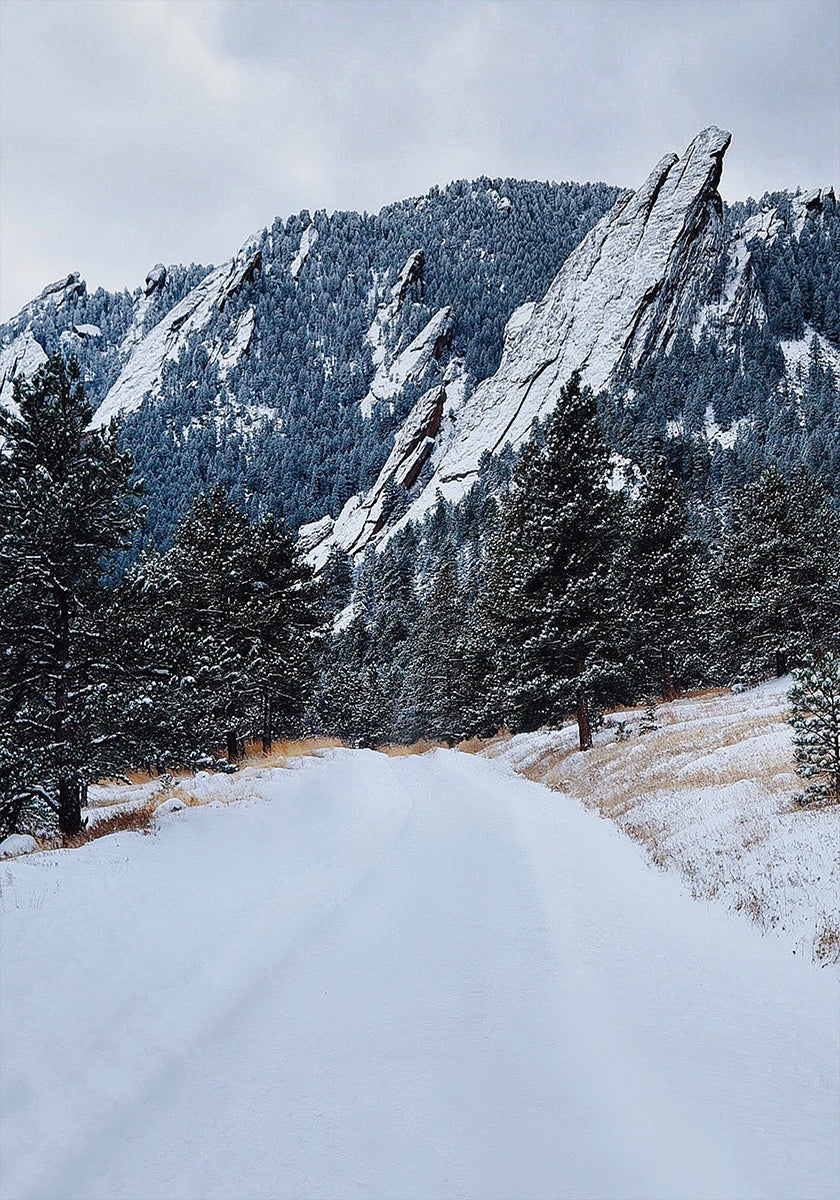 Plancha congelada Póster