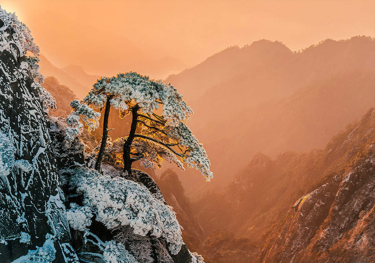 Resiliencia al límite Póster