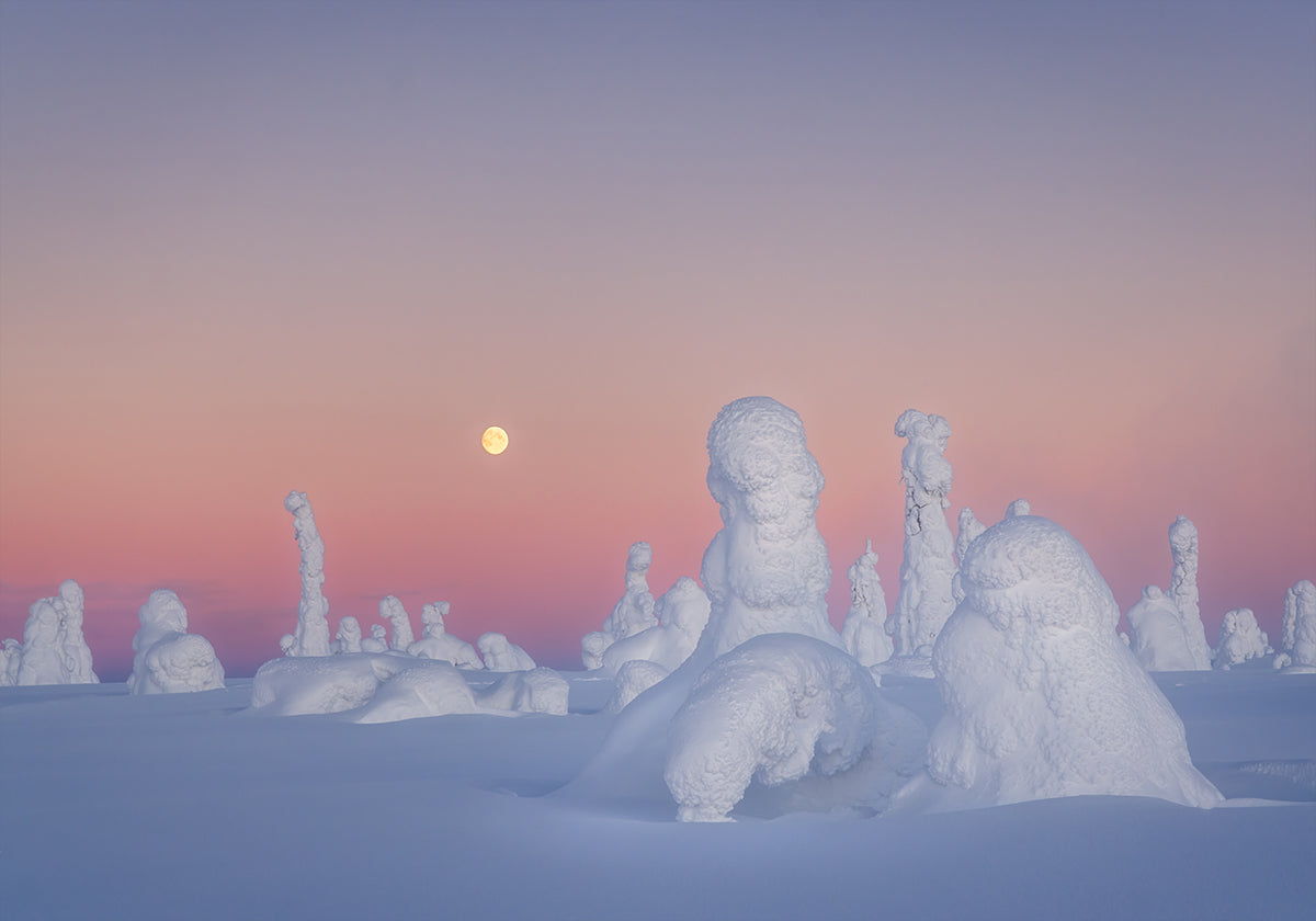 Póster El drama de Shakespeare