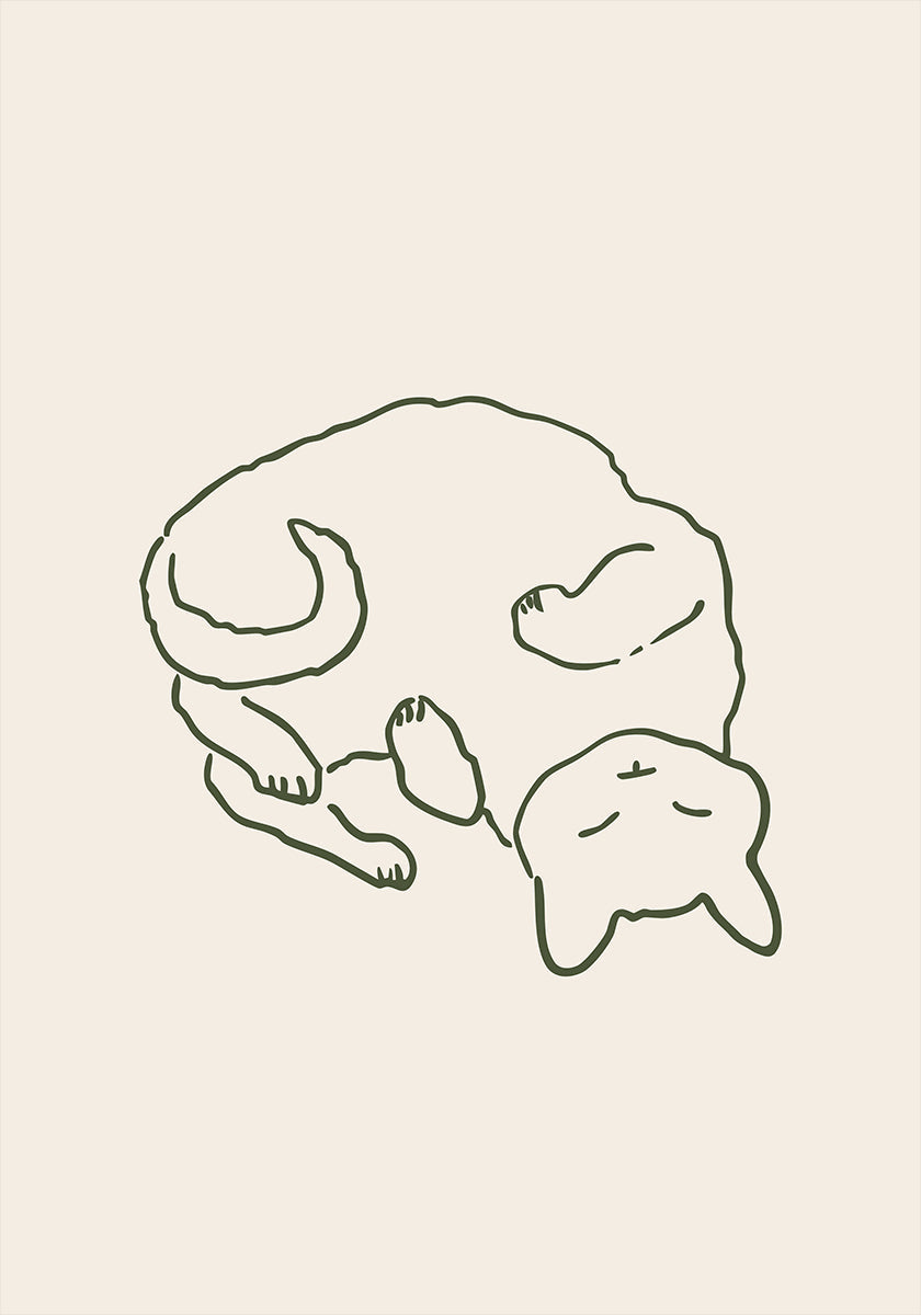 Gato acogedor y abrazado (NUEVO)