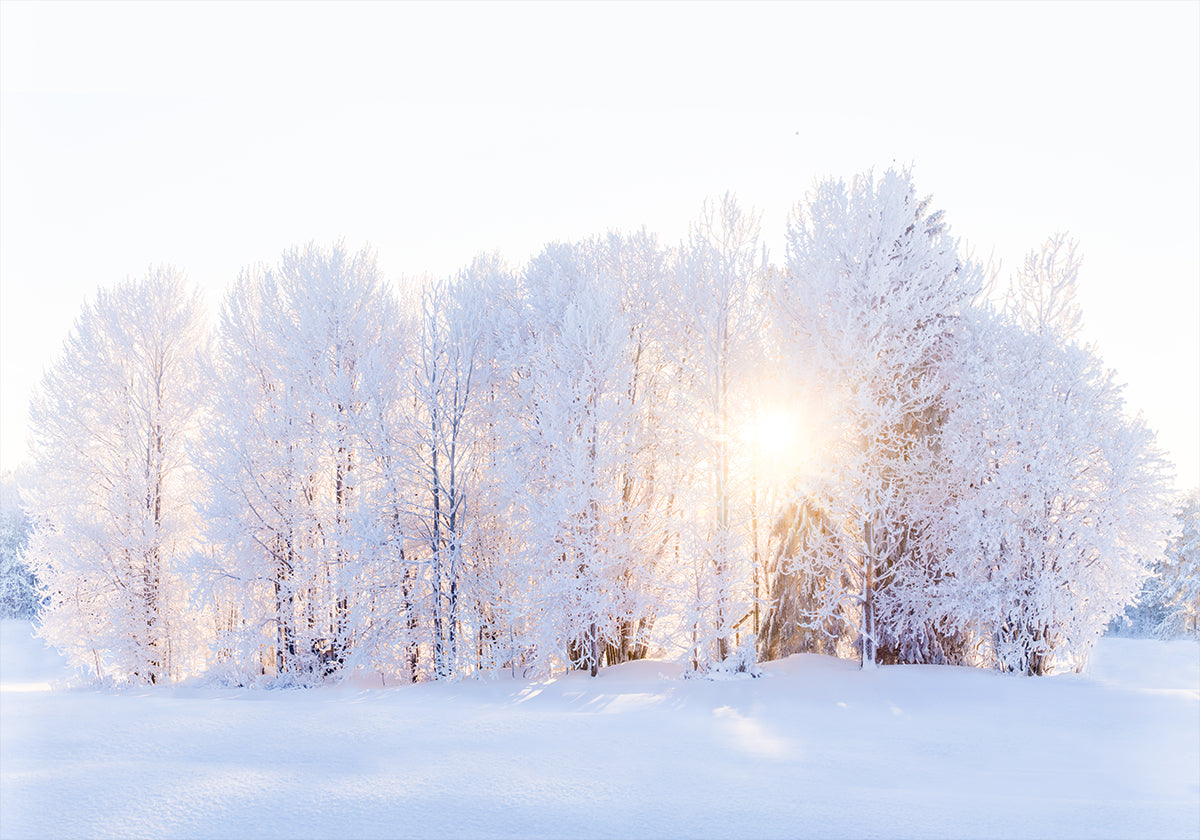 La luz regresa Póster