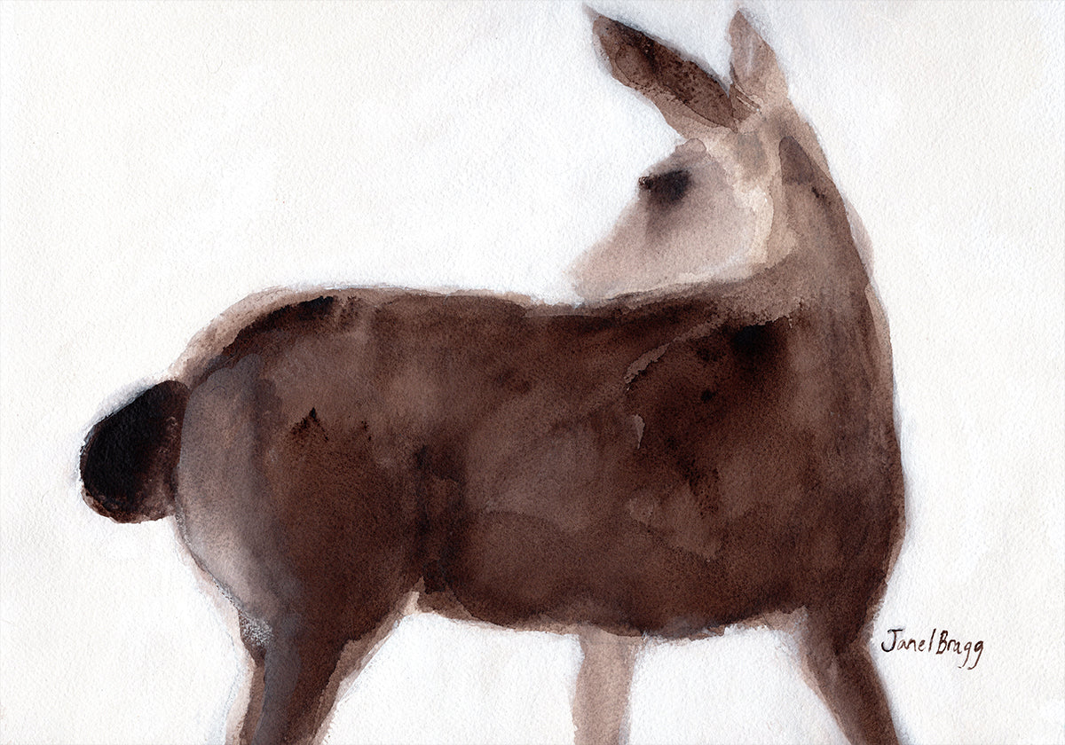 Ciervos en Creekside Lane Póster