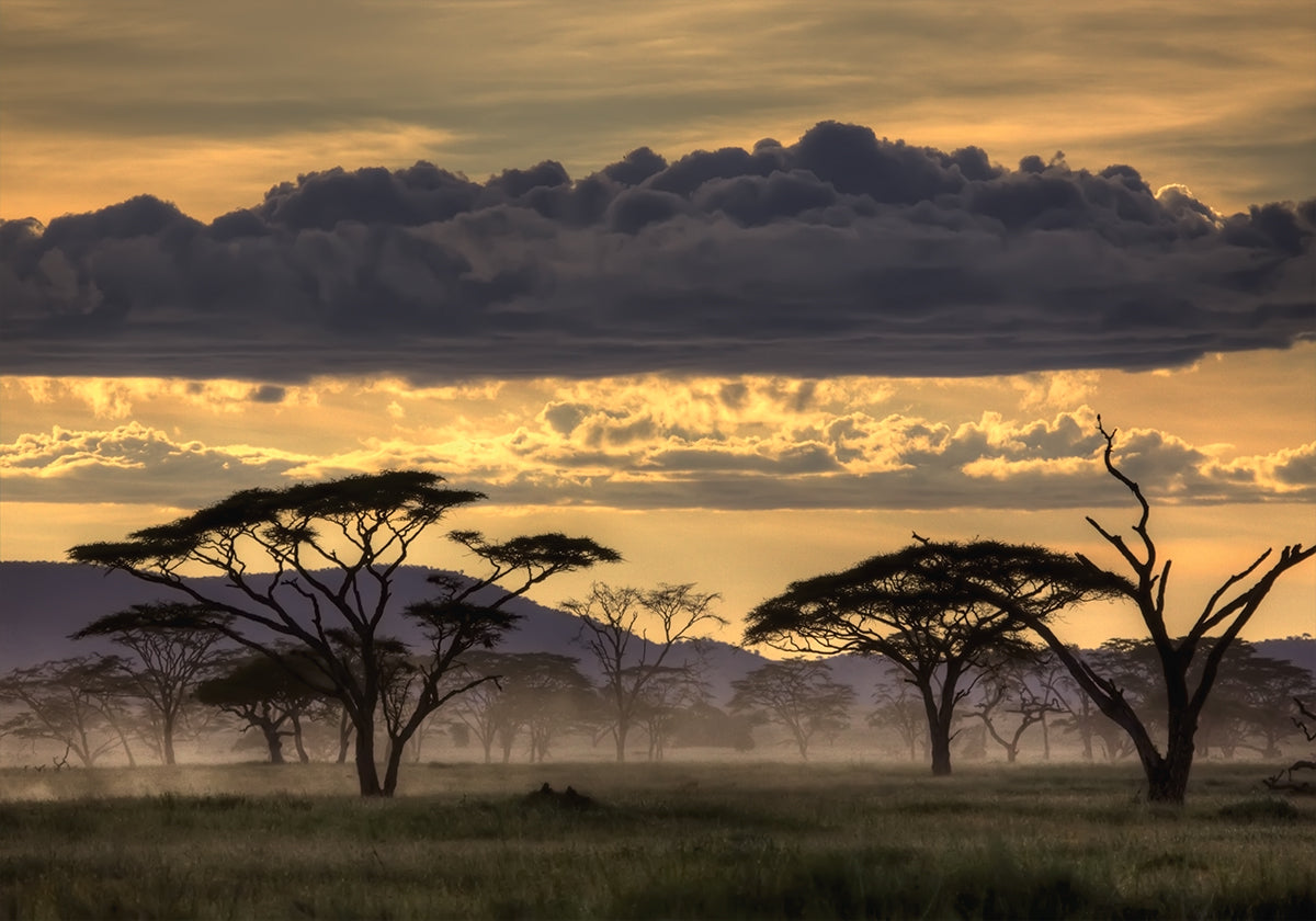Buenas noches Tanzania.