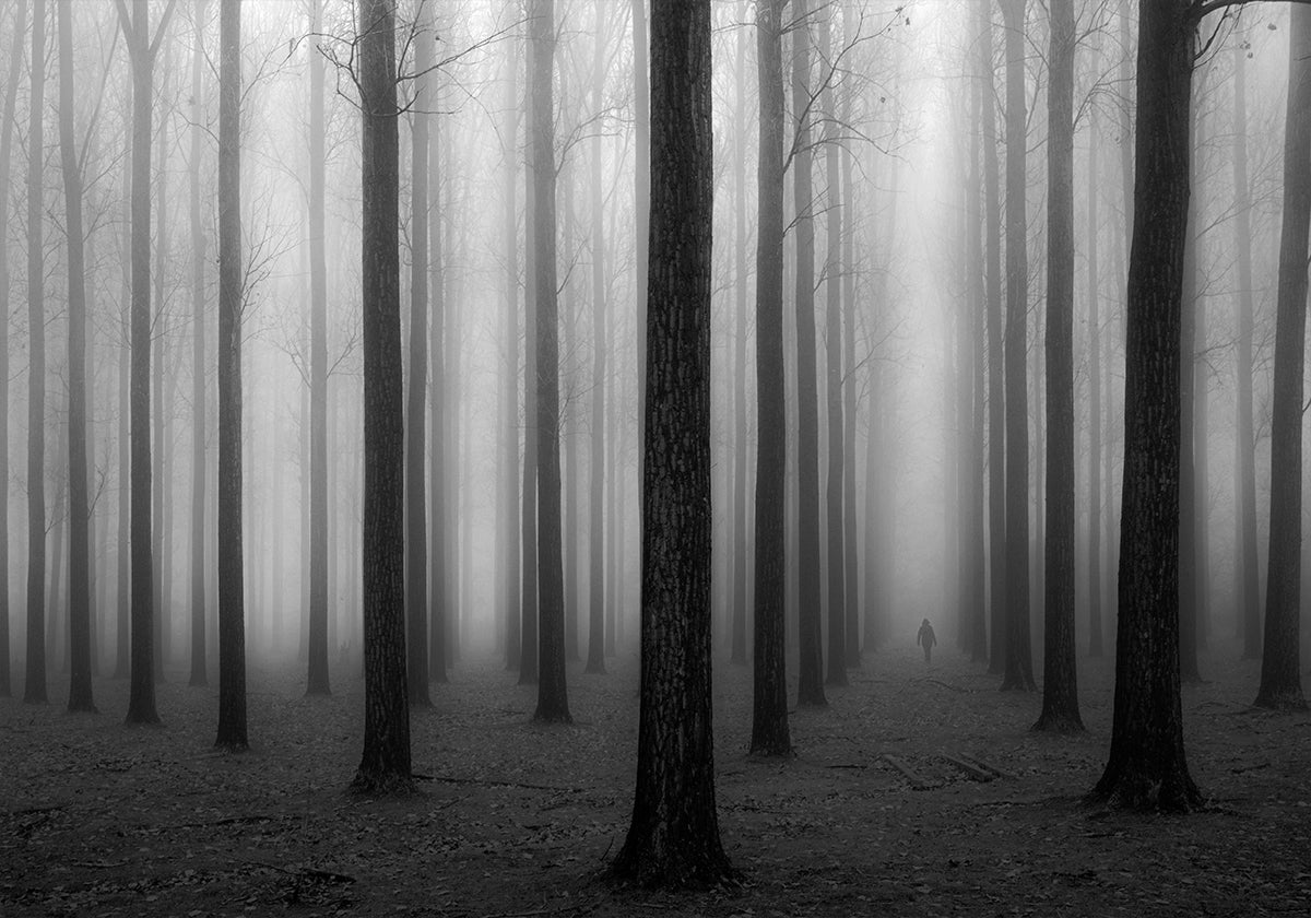 en una niebla
