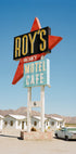 Mojave Desert California IV on Film (NEW) - Posterbox