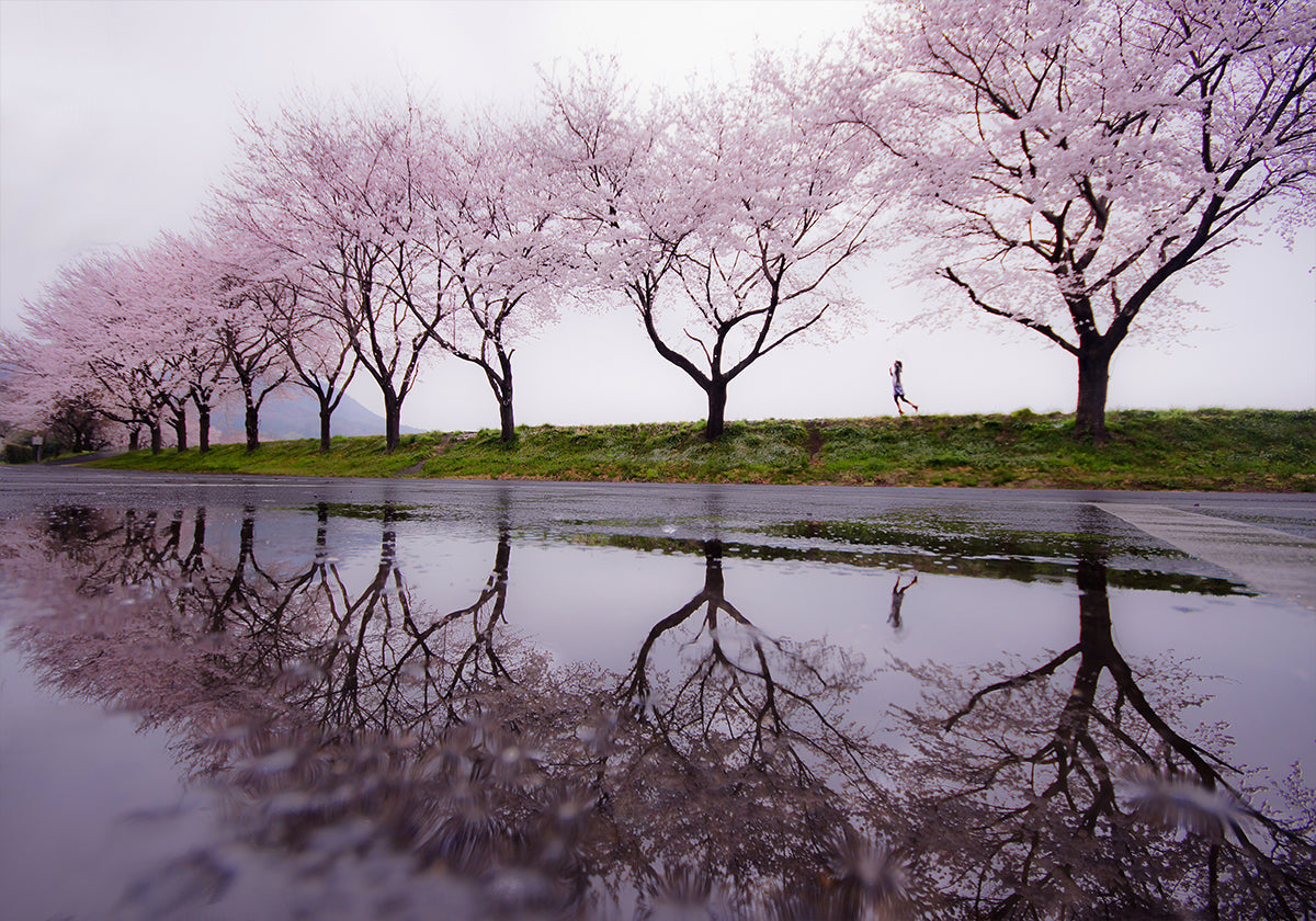 lluvia de primavera
