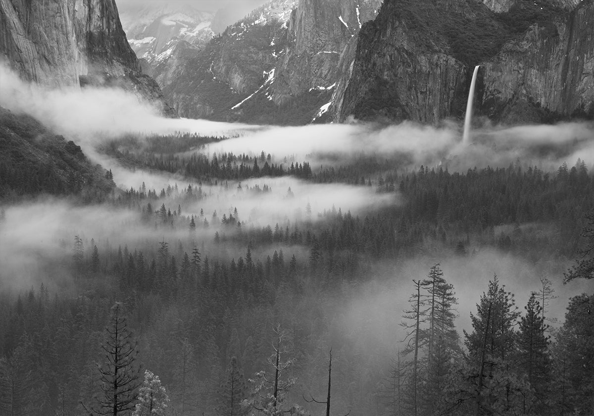 Niebla flotando en el valle de Yosemite