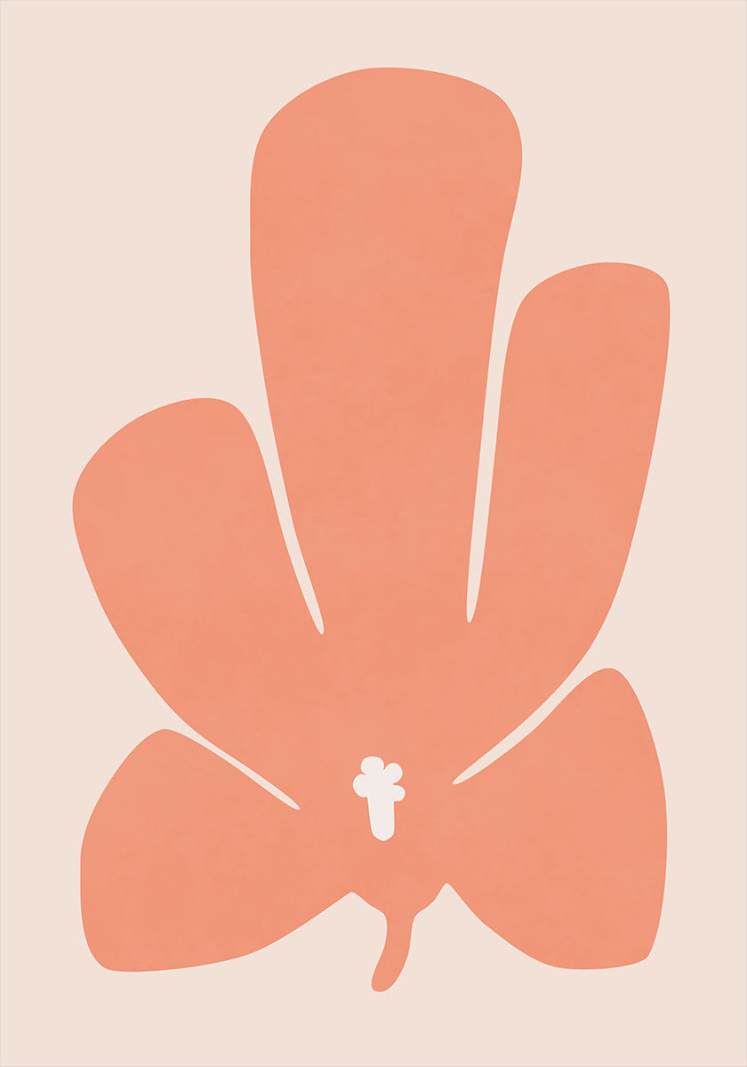 Coral Tulip Flower (NEW) - Posterbox