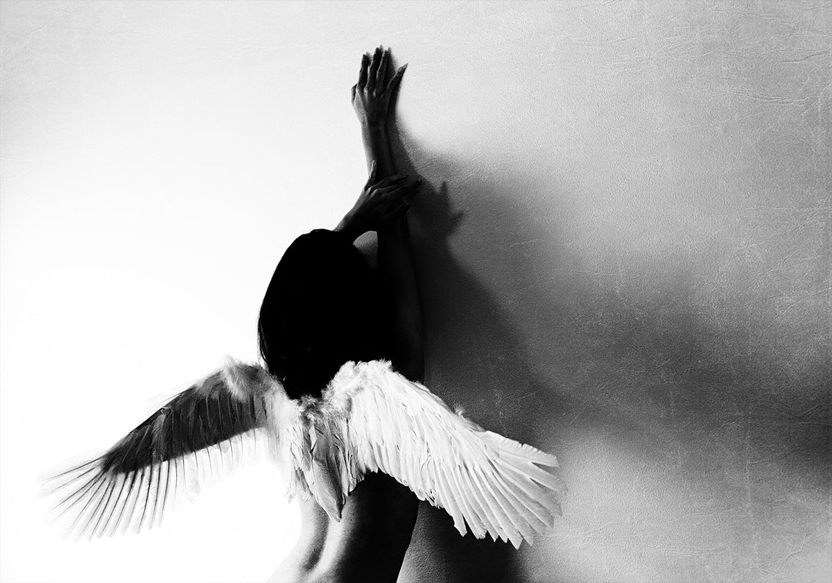 no volar