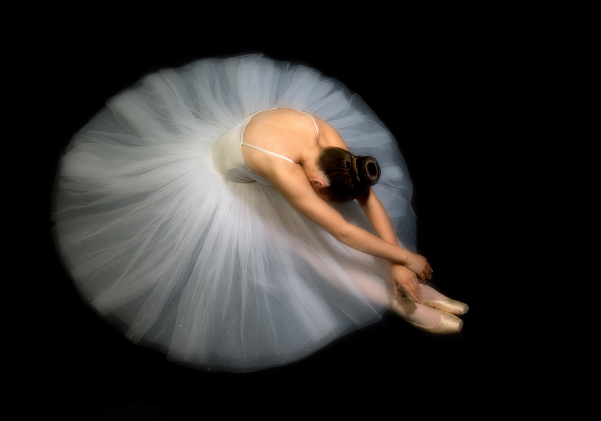 Elegancia