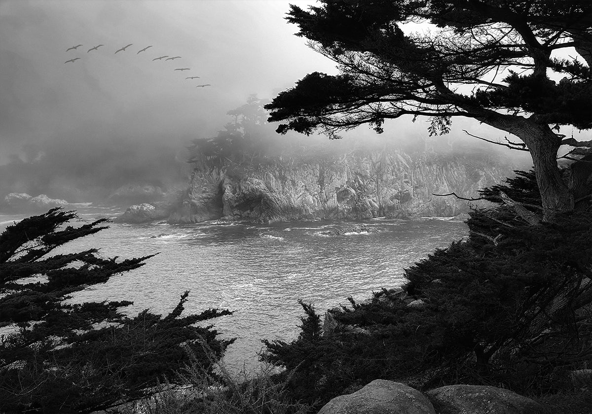 Foggy Morning Central Coast (NEW) - Posterbox