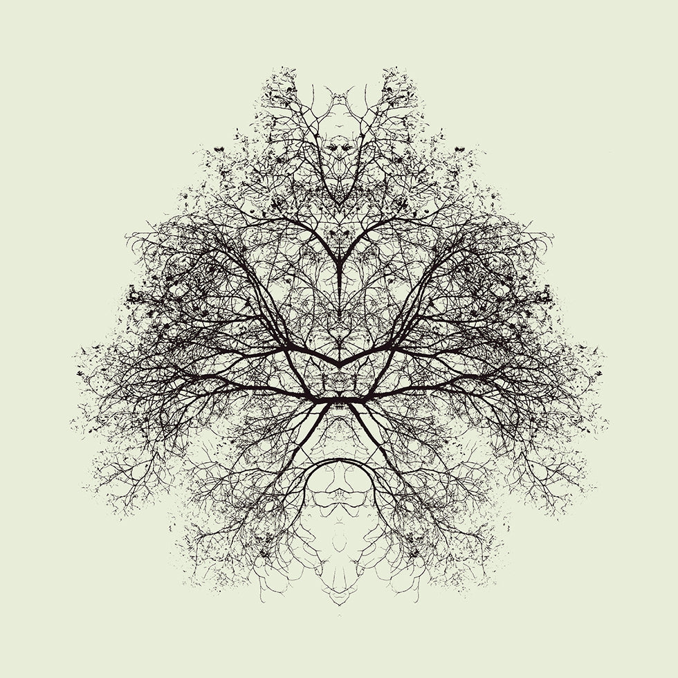 Prueba de Rorschach Póster
