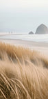 Misty Sea with Beach Grass (NEW) - Posterbox