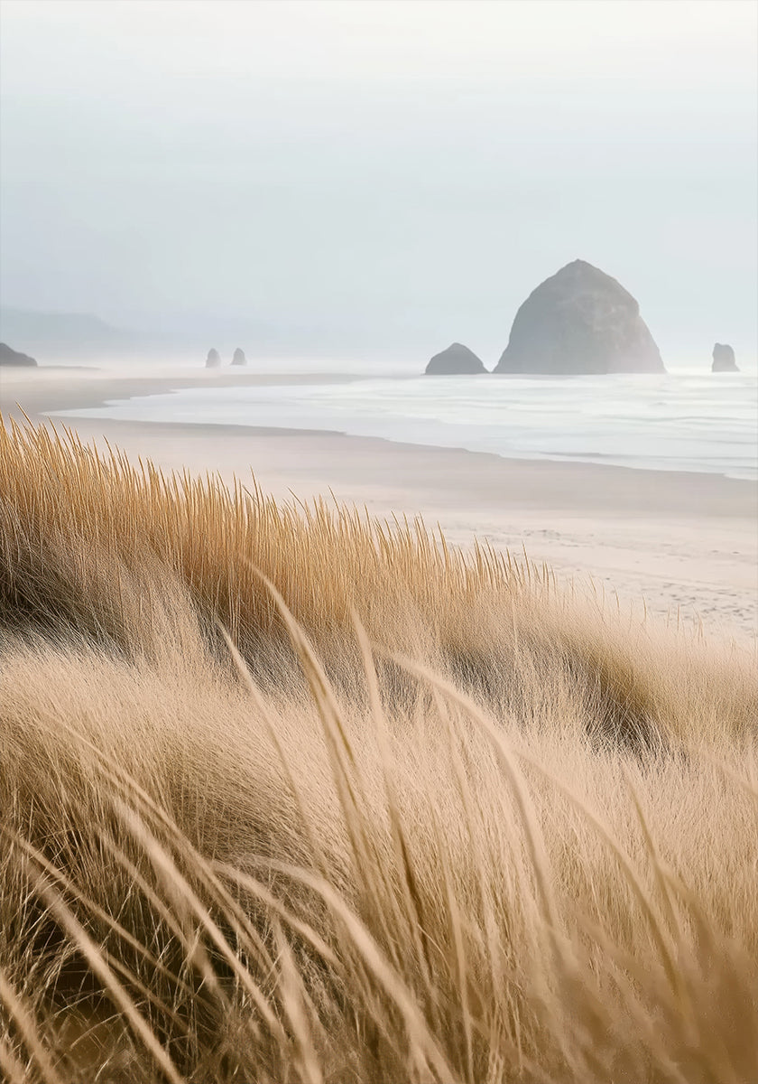 Misty Sea with Beach Grass (NEW) - Posterbox