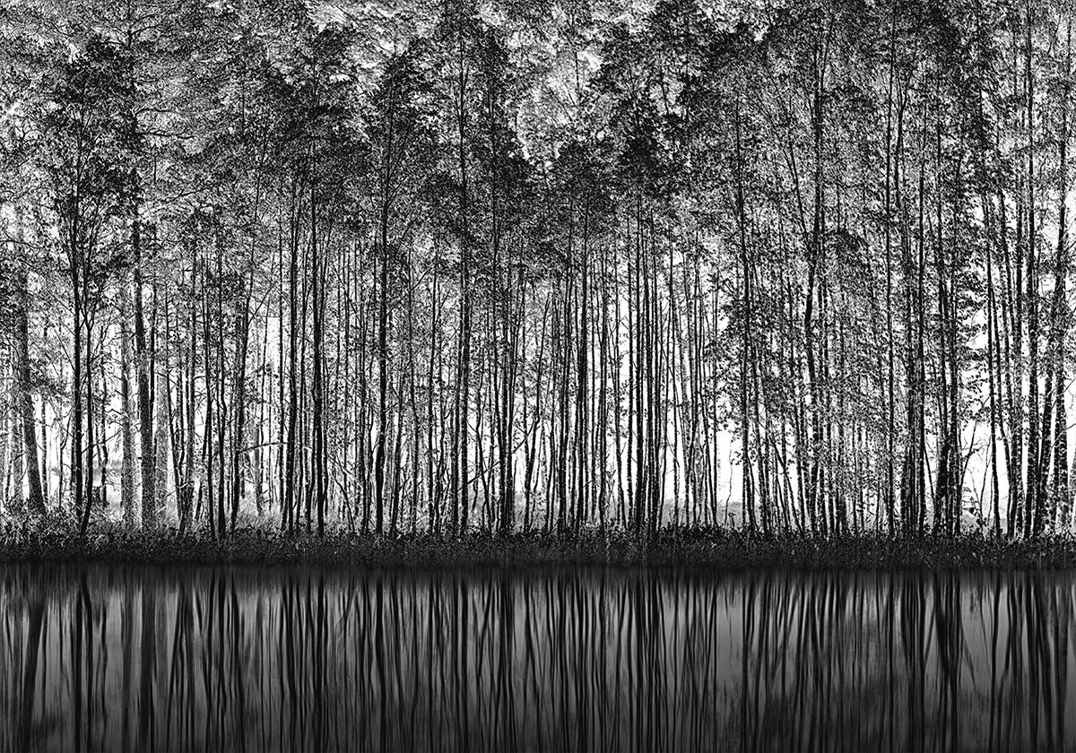 Puntillismo Naturaleza