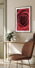 Red Rose Plakat - Posterbox.no