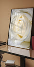 Rose Dew Plakat - Posterbox.no