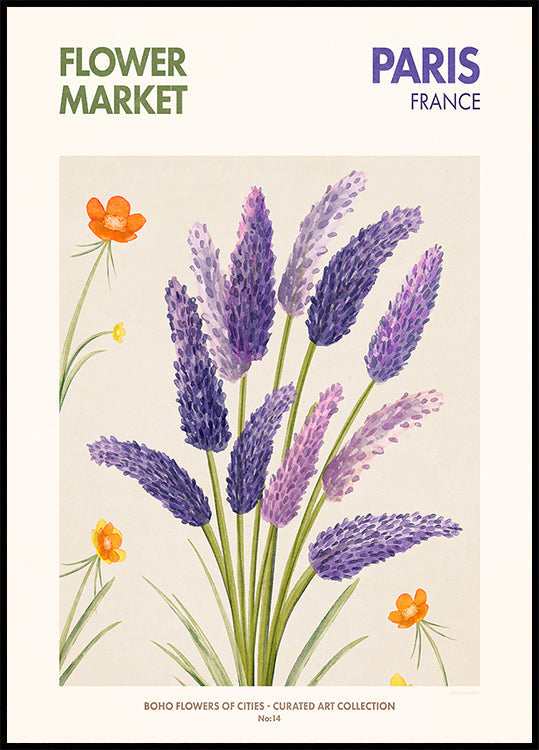 Lavender Blooms (NEW) - Posterbox