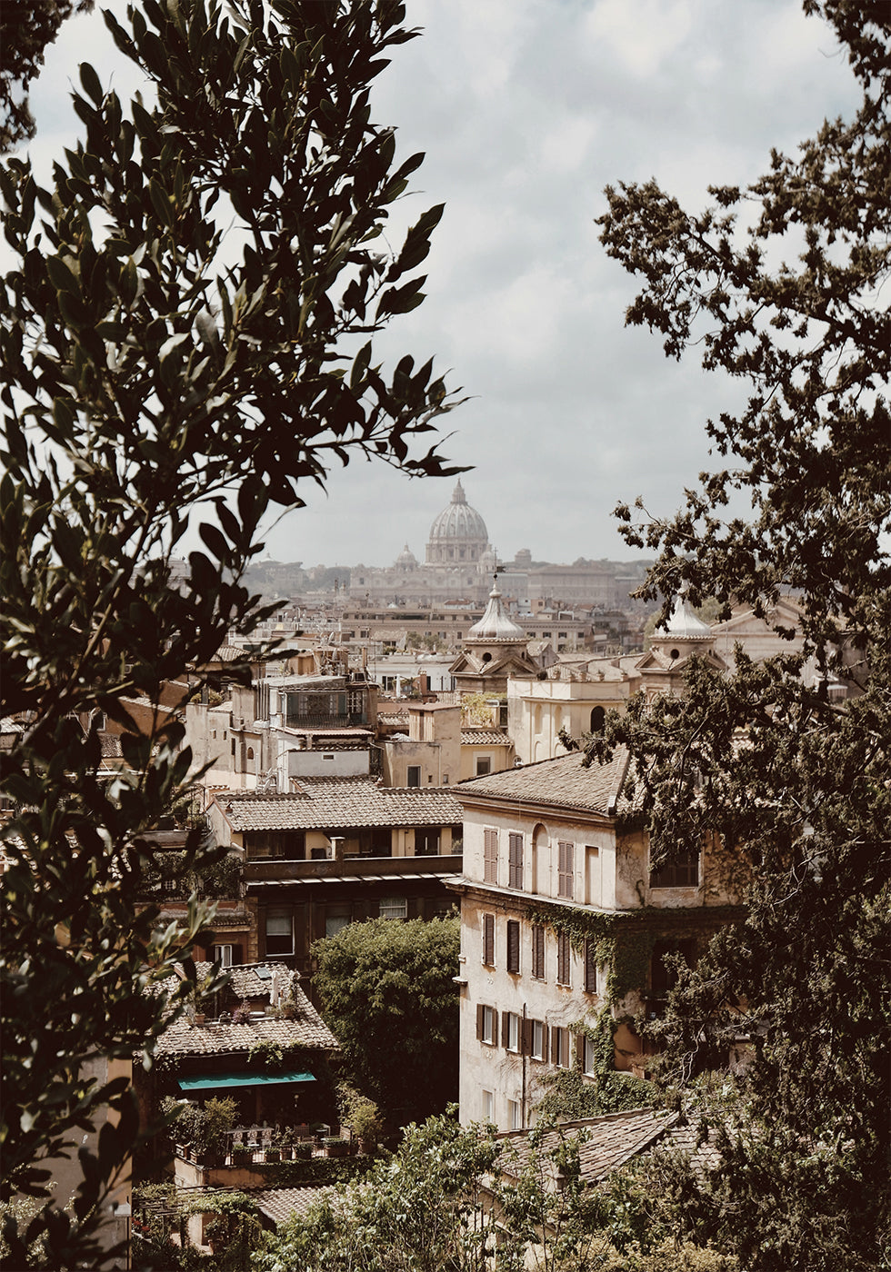 View of Rome with St. Peter's Basilica Plakat - Posterbox.dk
